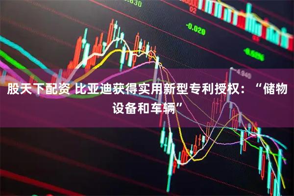 股天下配资 比亚迪获得实用新型专利授权：“储物设备和车辆”